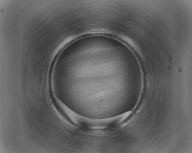 X0000064041229200601301140