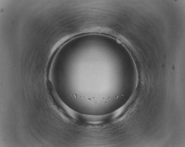 X0000064041230200601301140