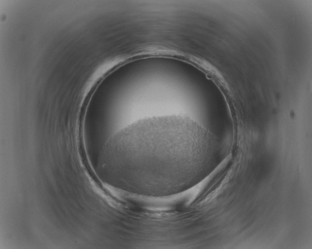 X0000064041231200601301140