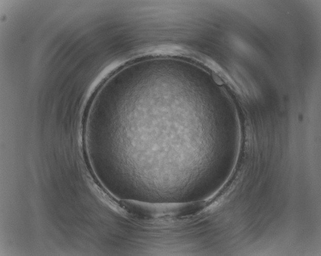 X0000064041232200601301140