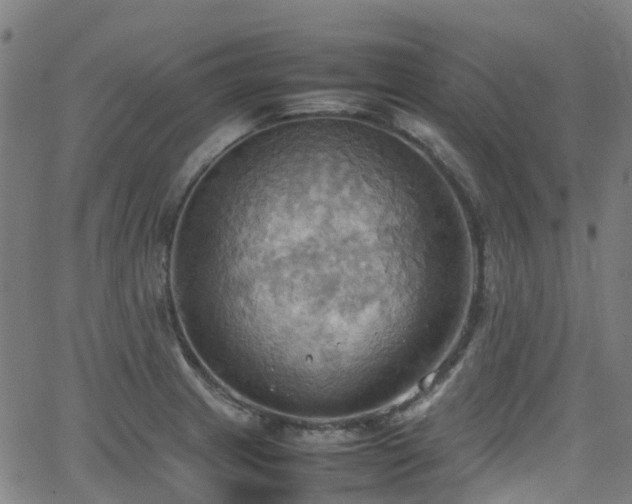 X0000064041233200601301140