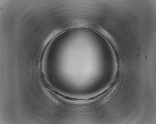 X0000064041234200601301140