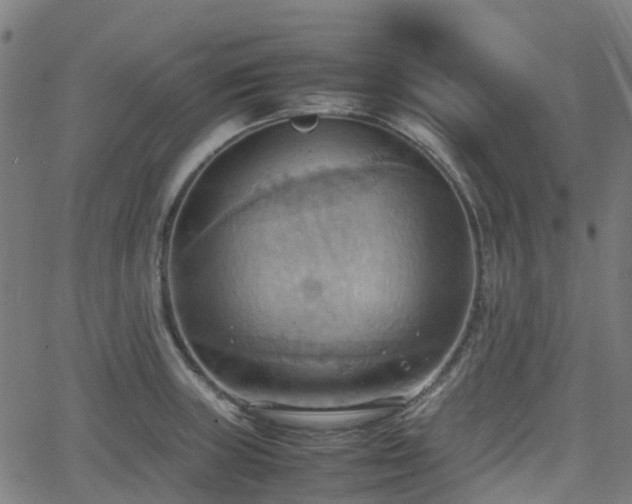 X0000064041235200601301140