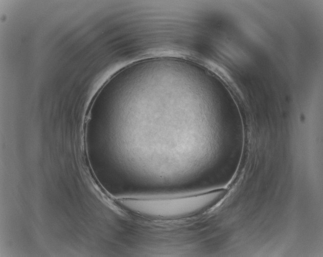 X0000064041236200601301140