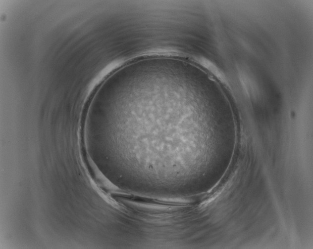 X0000064041237200601301140