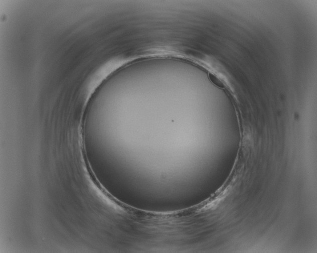 X0000064041239200601301140