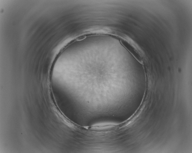 X0000064041240200601301140