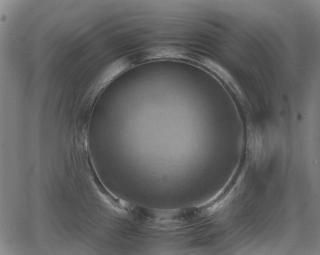 X0000064041241200601301140