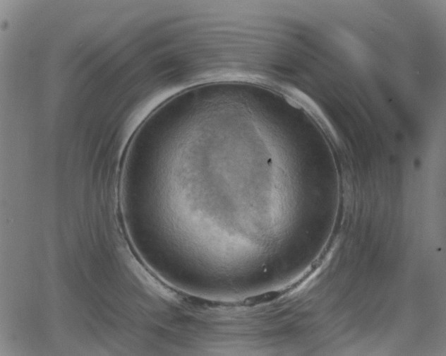 X0000064041244200601301140