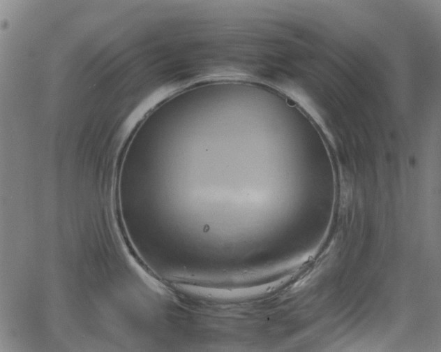 X0000064041245200601301140