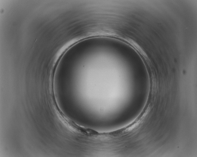 X0000064041246200601301140