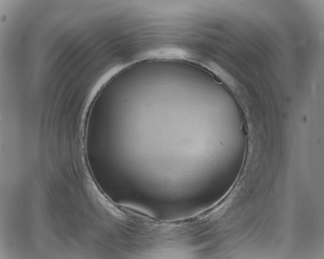 X0000064041248200601301140