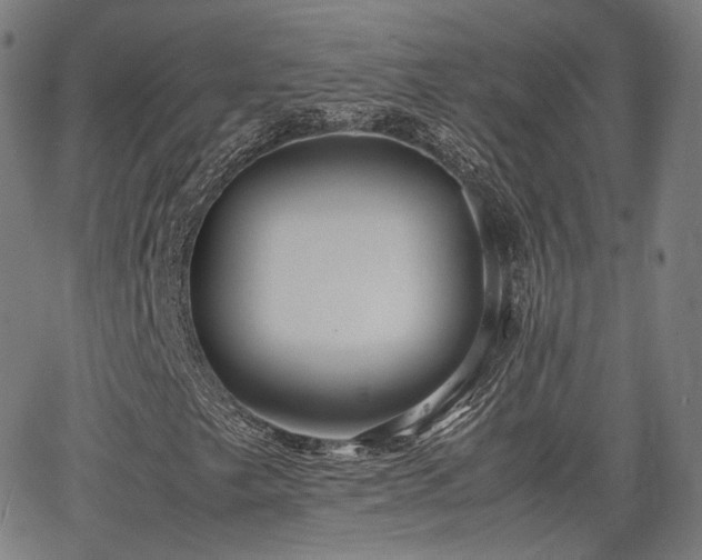 X0000064041249200601301140