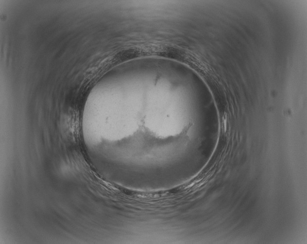 X0000064041251200601301140