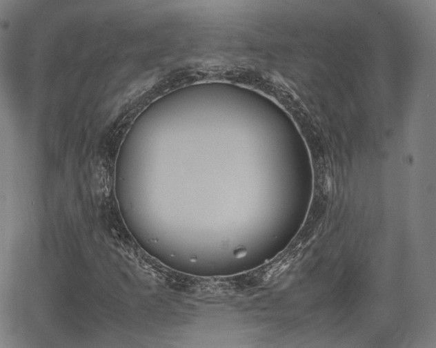 X0000064041253200601301140