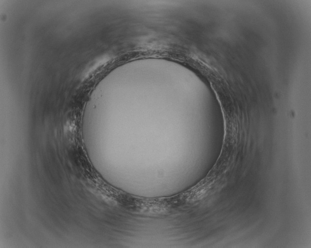 X0000064041254200601301140