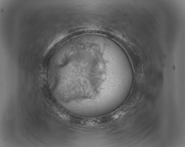 X0000064041255200601301140