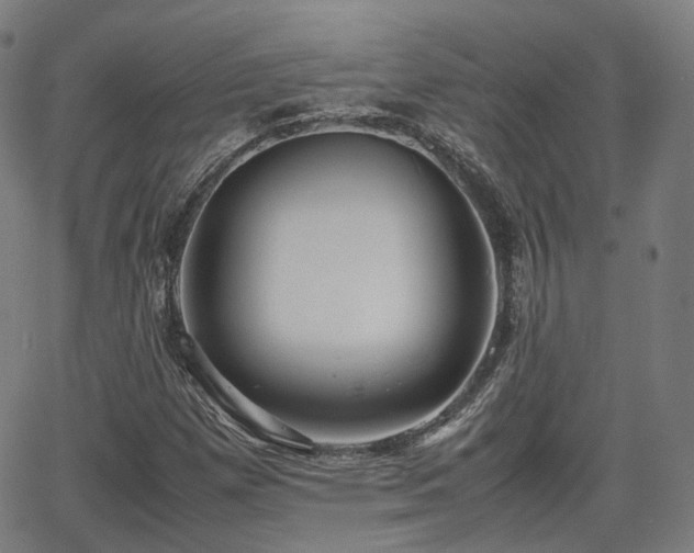 X0000064041257200601301140