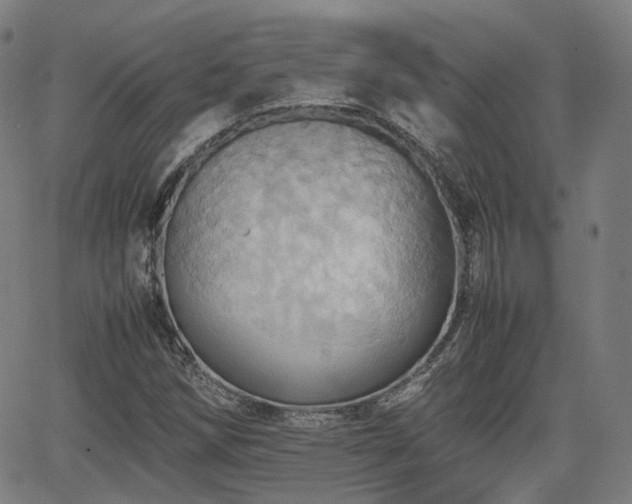 X0000064041258200601301140