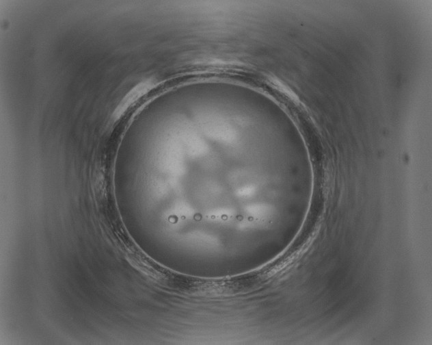 X0000064041259200601301140