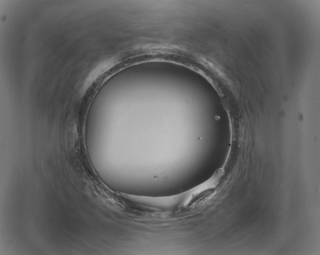 X0000064041261200601301140