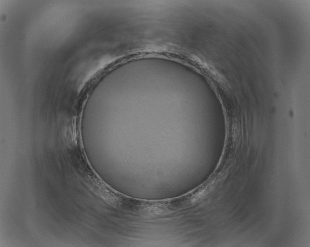 X0000064041262200601301139