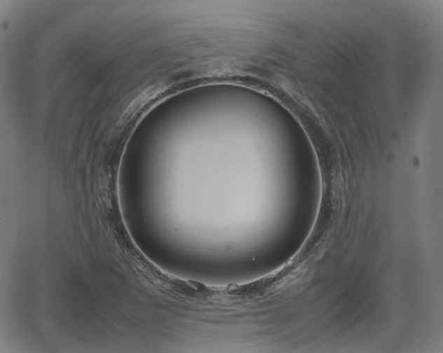 X0000064041265200601301139