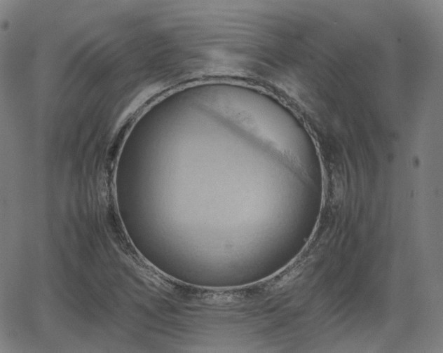 X0000064041266200601301139