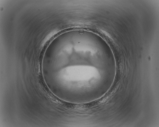 X0000064041267200601301139