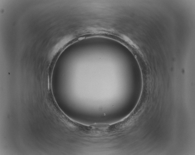 X0000064041269200601301139