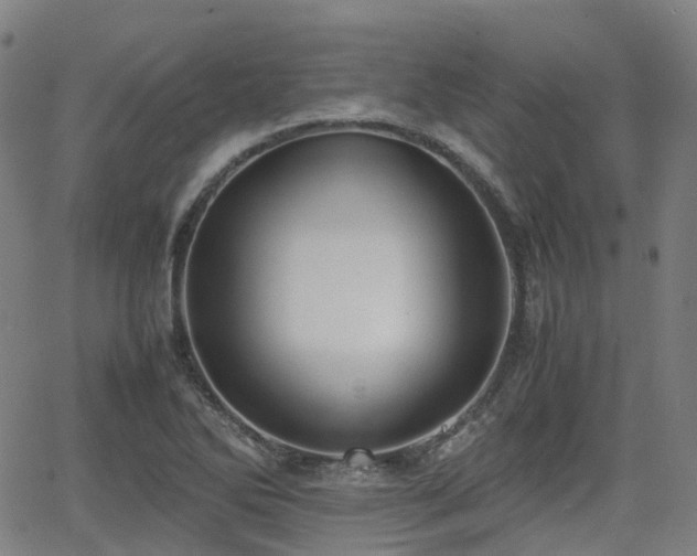 X0000064041270200601301139