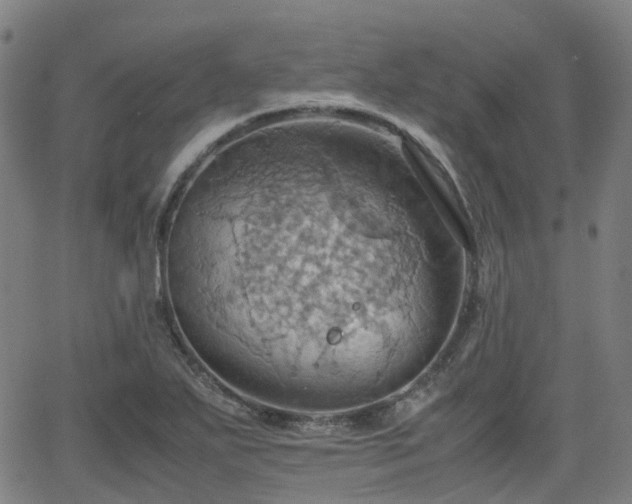 X0000064041271200601301139