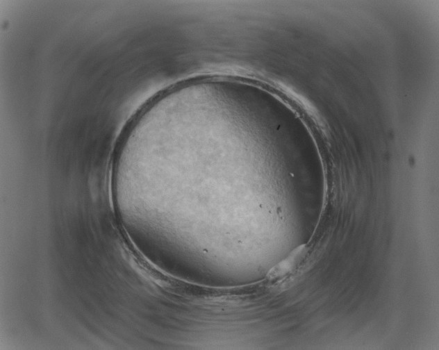 X0000064041272200601301139