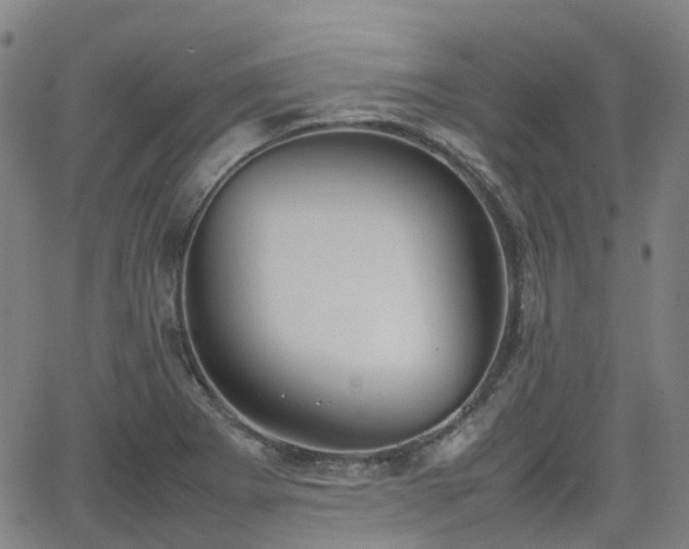 X0000064041273200601301139