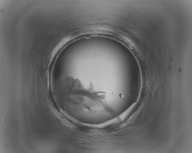 X0000064041275200601301139