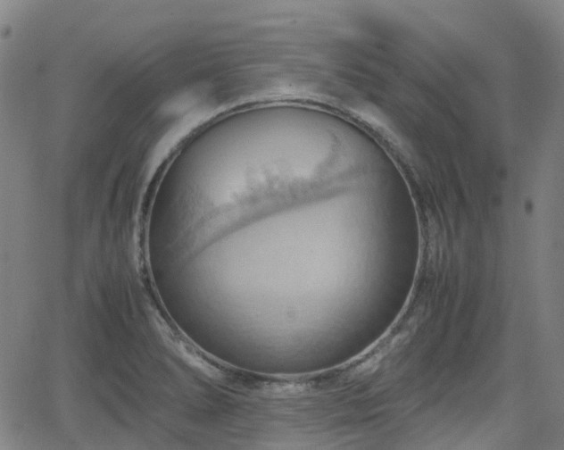 X0000064041278200601301139