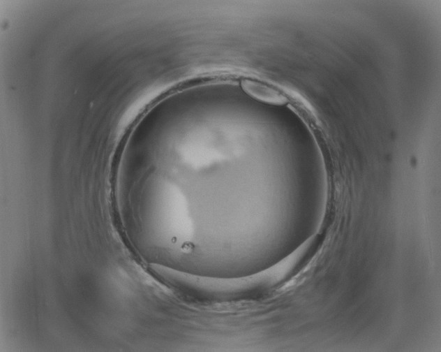 X0000064041279200601301139