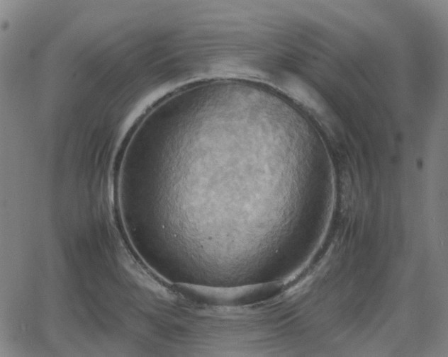 X0000064041280200601301139