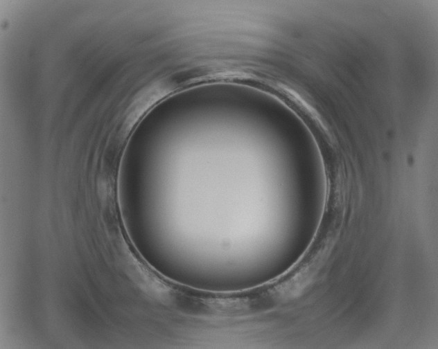 X0000064041281200601301139