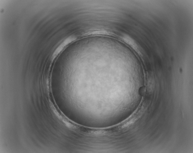 X0000064041282200601301139