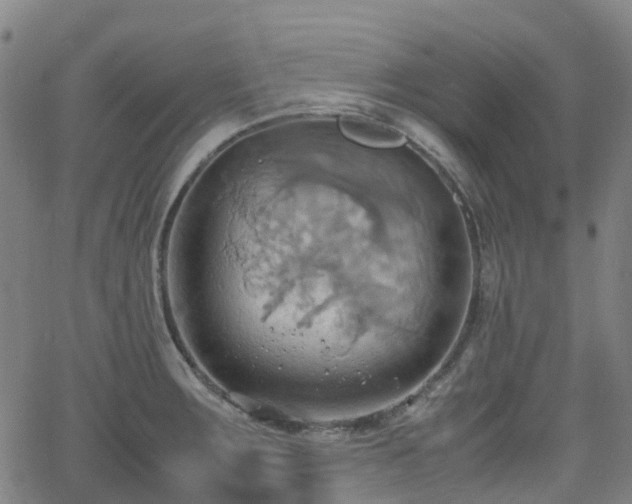 X0000064041283200601301139