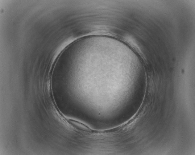 X0000064041284200601301139