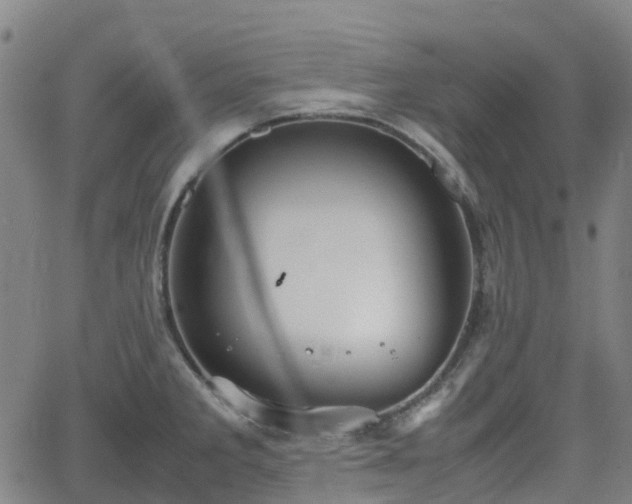 X0000064041285200601301139