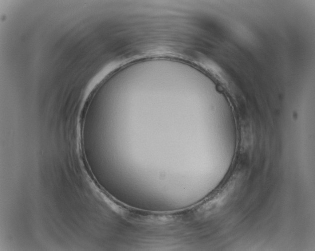 X0000064041286200601301139