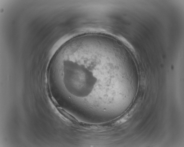 X0000064041287200601301139