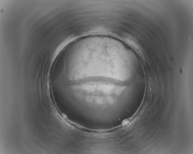 X0000064041288200601301139