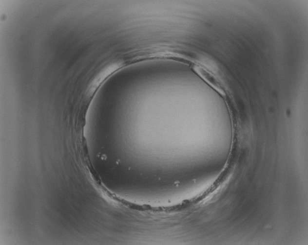 X0000064041289200601301139