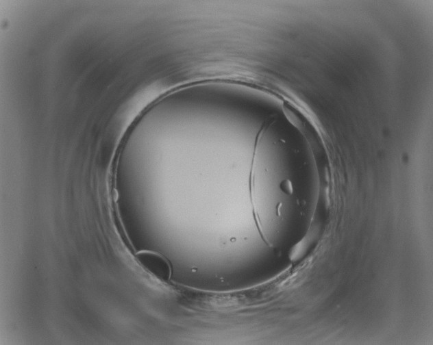 X0000064041291200601301139