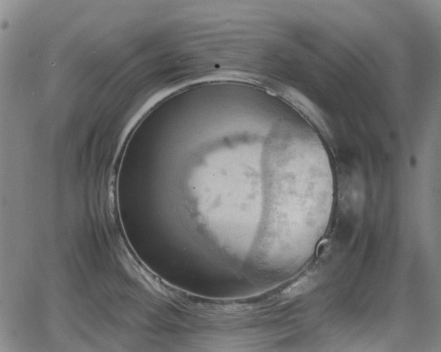 X0000064041292200601301139