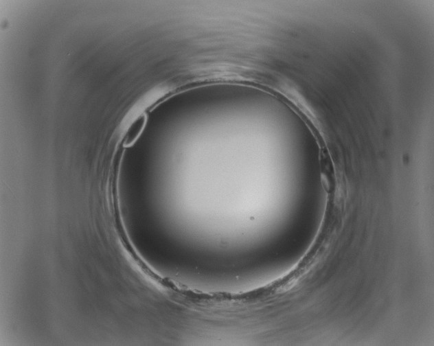 X0000064041293200601301139